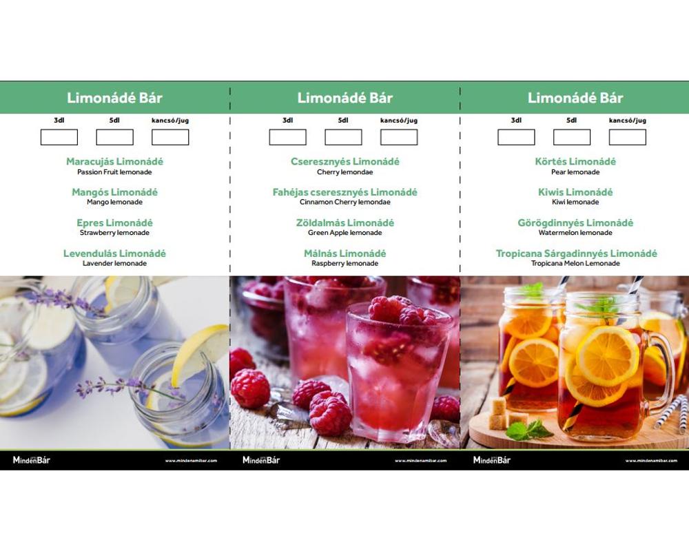 Monin Limonédé lap 12 limonádét tartalmaz (Új 2018 as)